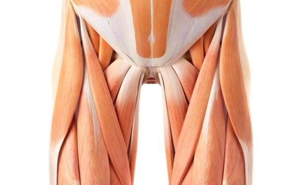 Sân được xây dựng nằm hai bên sông Thầy Tiêu tạo không gian thư giãn cho người chơi