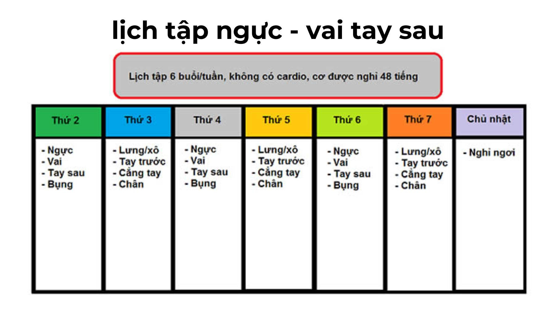 Lịch tập ngực vai tay sau