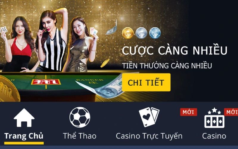 Các điều cần lưu ý khi tiến hành đặt cược