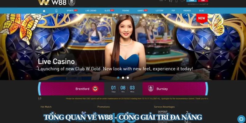 W88 - nền tảng cá cược giải trí đa dạng W88 - nền tảng cá cược giải trí đa dạng